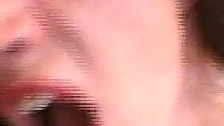 Everything Inside the Ass