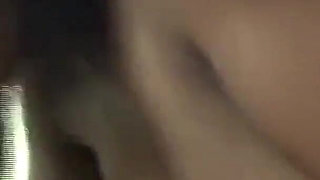 2 Cocks for the Wild Student Xenia 18