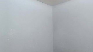 Side Way Fuck, Missionary & Cock Riding Scene