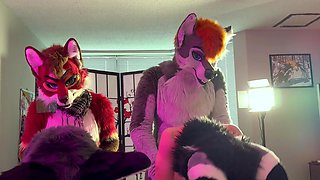 Two amateur gals threesome with stranger