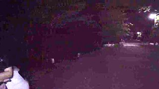 Anal Creampie For Best Friend's Girlfriend In Swamp - Villa Anderson Rough Doggystyle