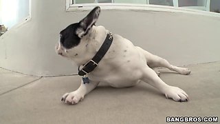 Milf and Amateur Girl Fuck In A Hot Threesome