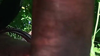 My Hot and Sexy Wife Outdoor Anal Video Desi Bhabhi Indian Bhabhi