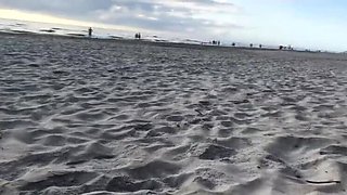 Hot MILF Jane R Gets Surprise Anal on Public Beach - Big Cock Creampie