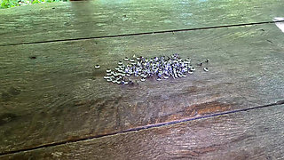 Put your tits in the thumbtacks