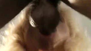 Rough movie with well-formed miss from Screw My Wife Club