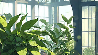 Ep10: Fucking Christy's Tight Pussy - Lust & Magic (gameplay)