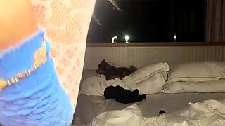 Bustys Cam Webcam Big Boobs Free Big Boobs Cam Porn Video