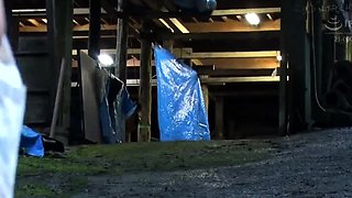 Asian japanese amateur