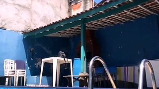 CIMA black and ebony