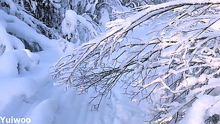 -30c It's Very Cold, but the Cute Russian Girl Wants Ice Cream in Her Mouth