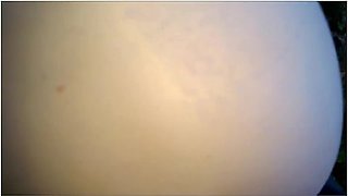 She Loves Public Doggy And Cum Swallowing