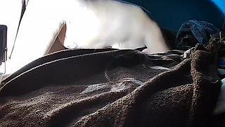 PUCHIS - SEXY MILF JUGOSO RUIDOSO SQUIRTING