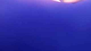 Widowmaker From Overwatch - Sniper Mission Failed Because of Big Cock - Doggystyle & Beach Jack-o Pose Big Ass Fuck 3D