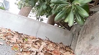 Amateur Asian Solo Fucking On Cam