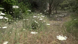 Brunette babe blows hard cock outdoors