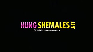 Shemale Mariana Cordoba receives blowjob and ass fucks her guy